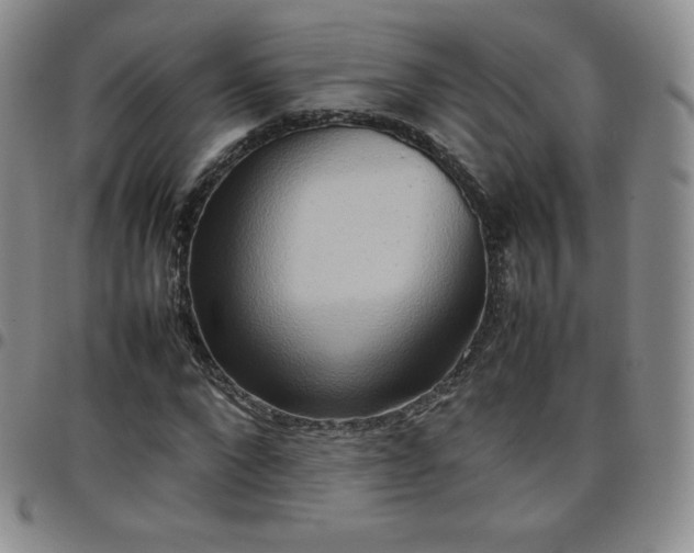 X0000099230872200805011134