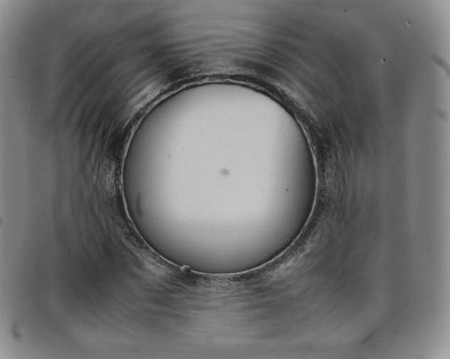 X0000099230873200805011134