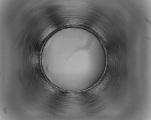 X0000099230874200805011134