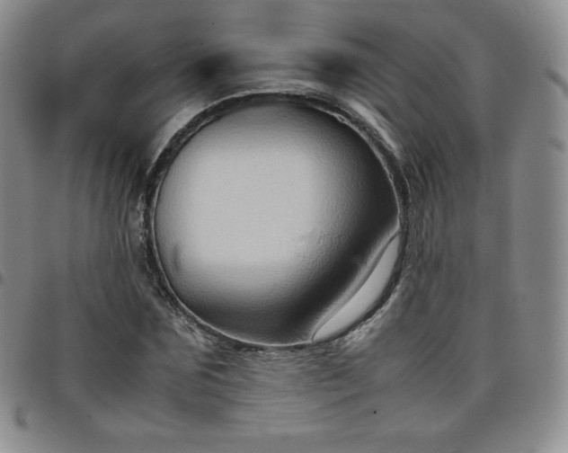 X0000099230875200805011134