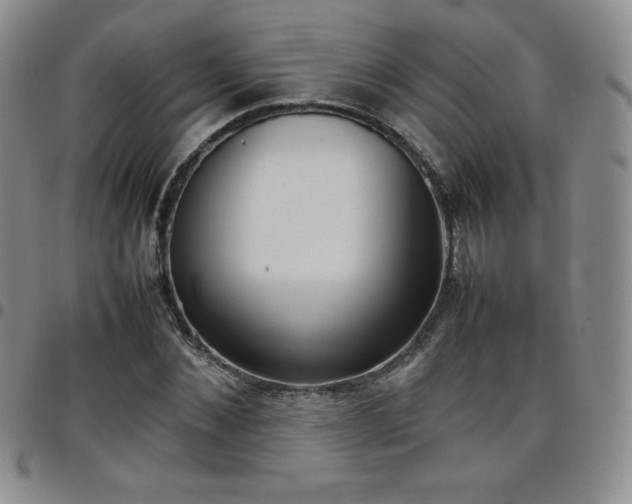 X0000099230876200805011134