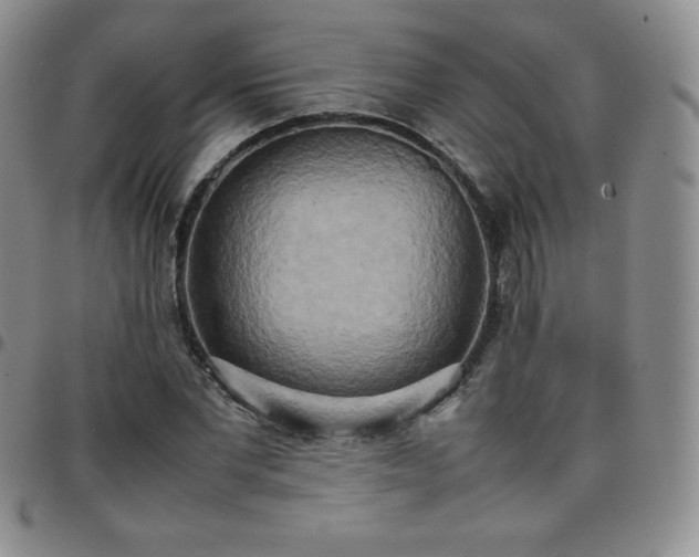 X0000099230877200805011134