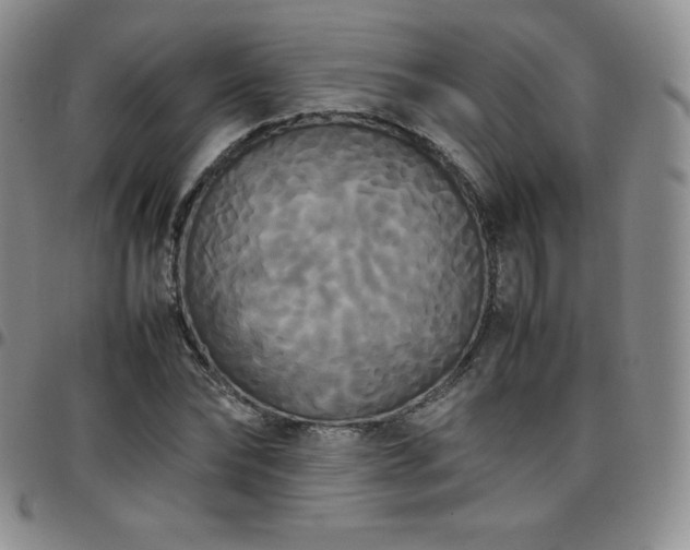 X0000099230878200805011134