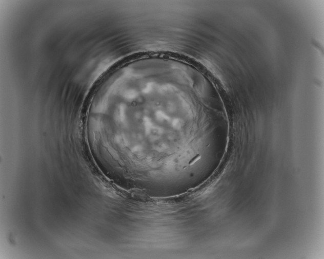 X0000099230879200805011134