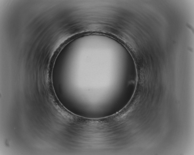 X0000099230880200805011134