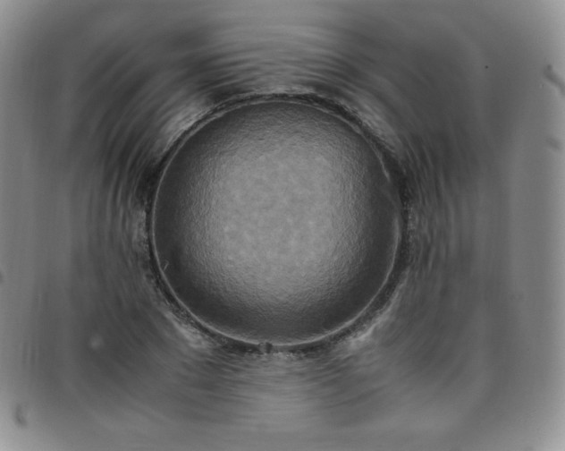 X0000099230881200805011134