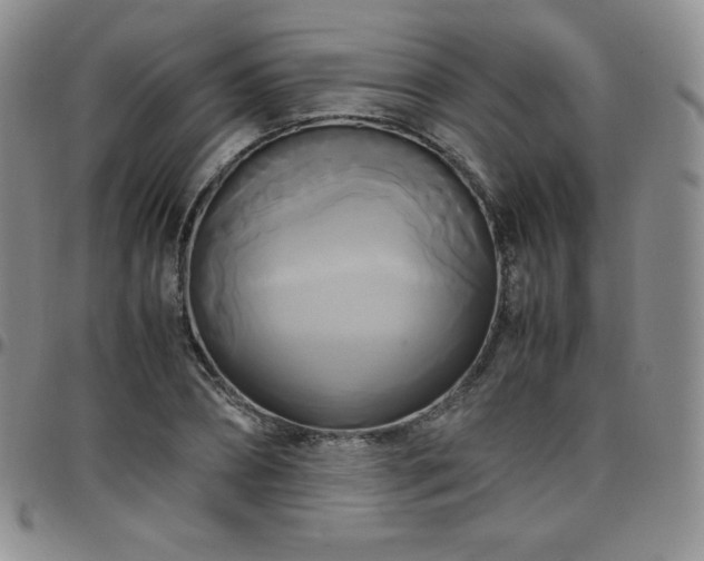 X0000099230882200805011134