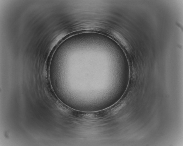 X0000099230883200805011134