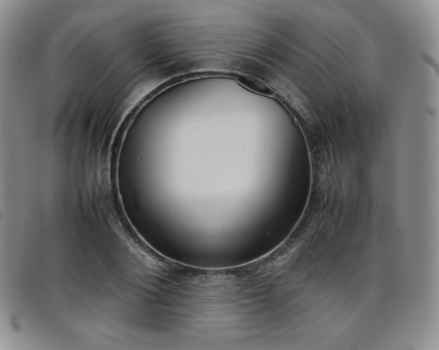 X0000099230884200805011134