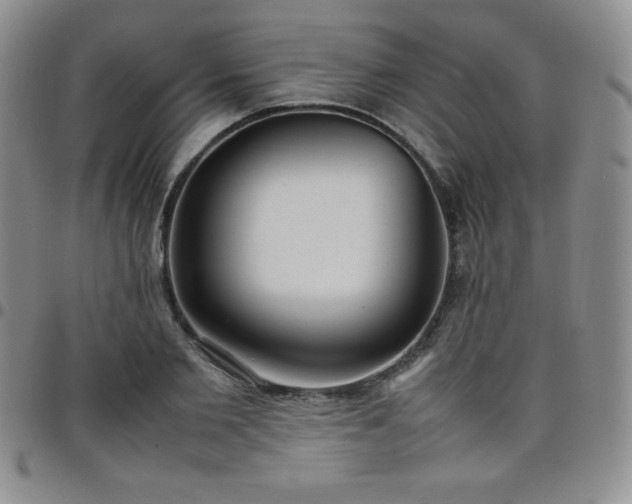 X0000099230885200805011134