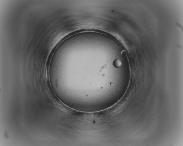 X0000099230887200805011134