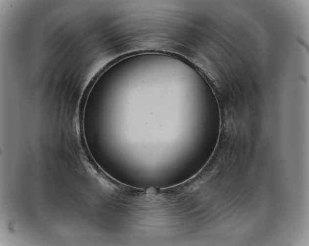 X0000099230888200805011134