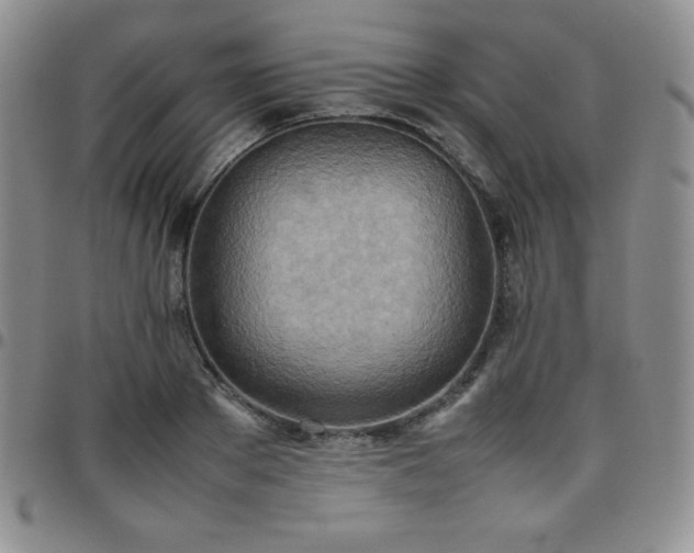 X0000099230889200805011134