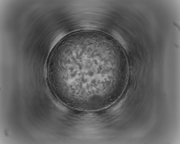 X0000099230891200805011134