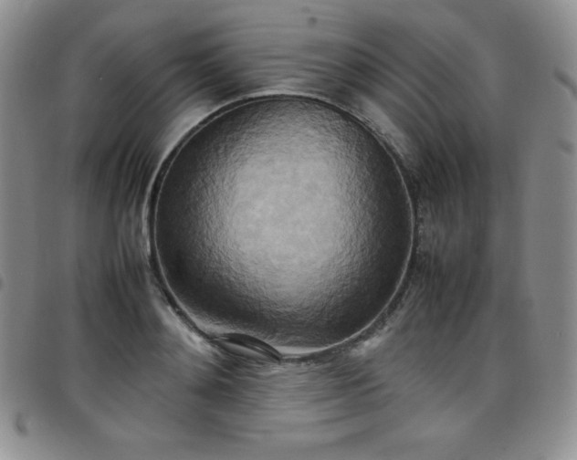 X0000099230892200805011134