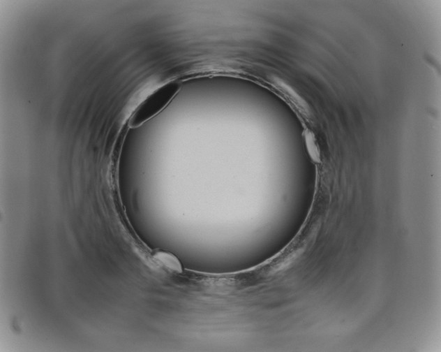 X0000099230893200805011134