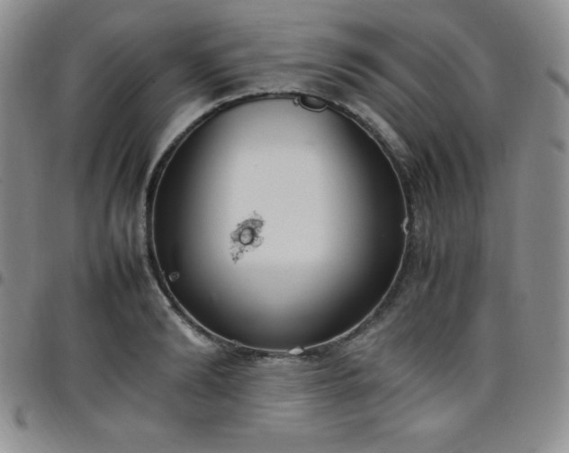 X0000099230894200805011134