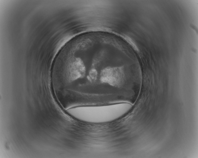 X0000099230895200805011134