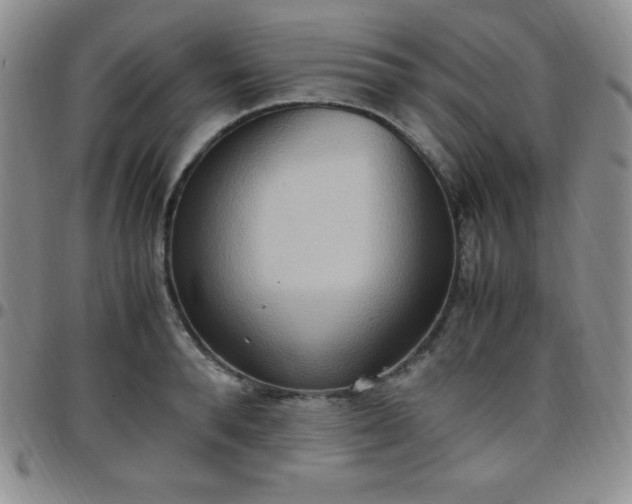 X0000099230896200805011134