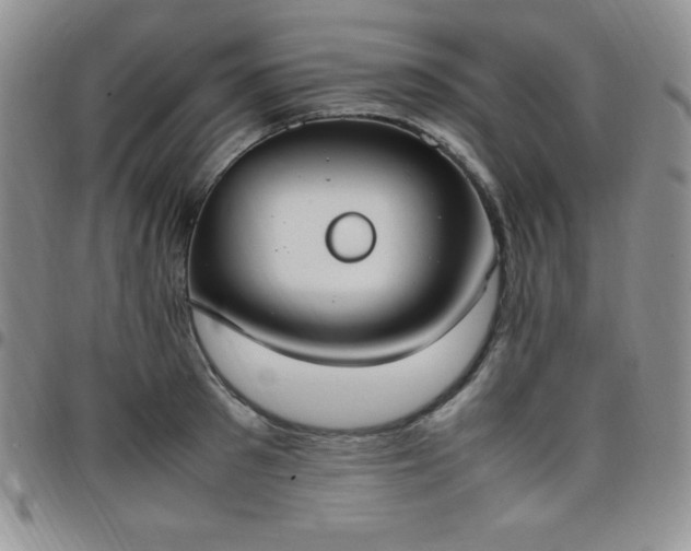 X0000099230897200805011134