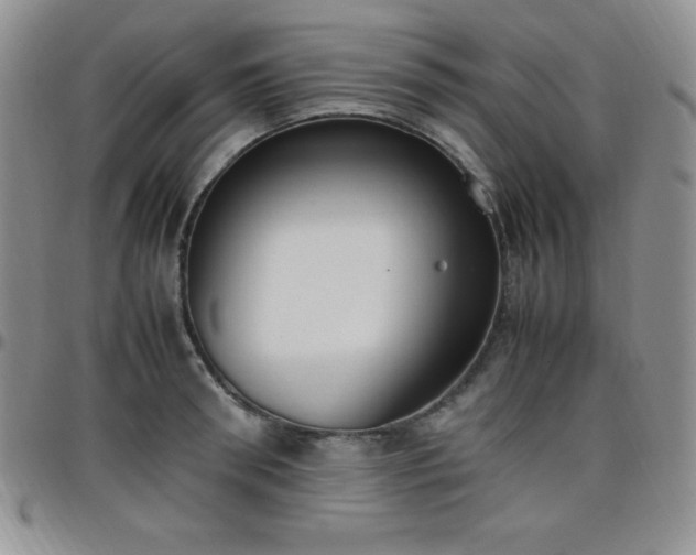 X0000099230898200805011134