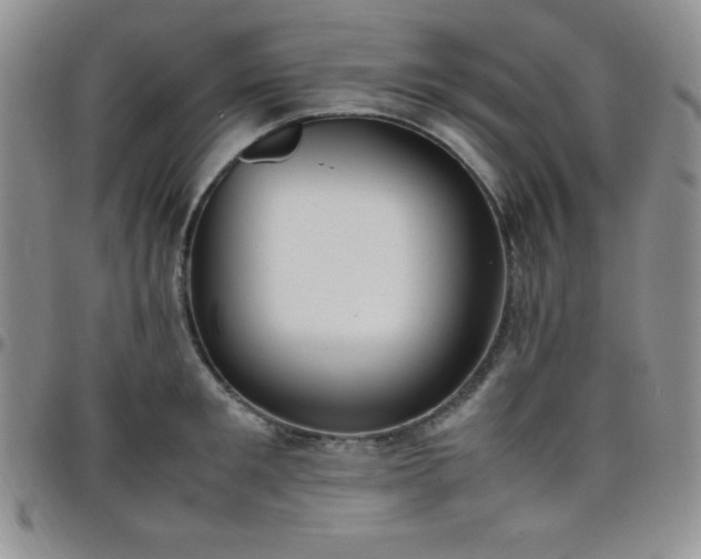 X0000099230901200805011134