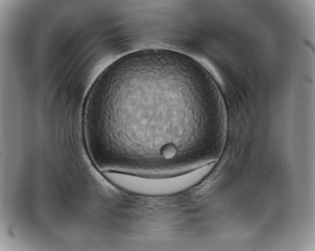 X0000099230903200805011134