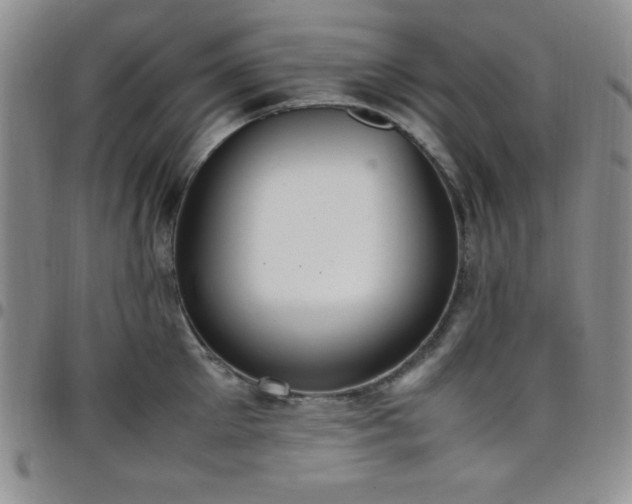 X0000099230905200805011134