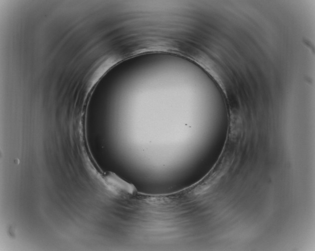 X0000099230906200805011134