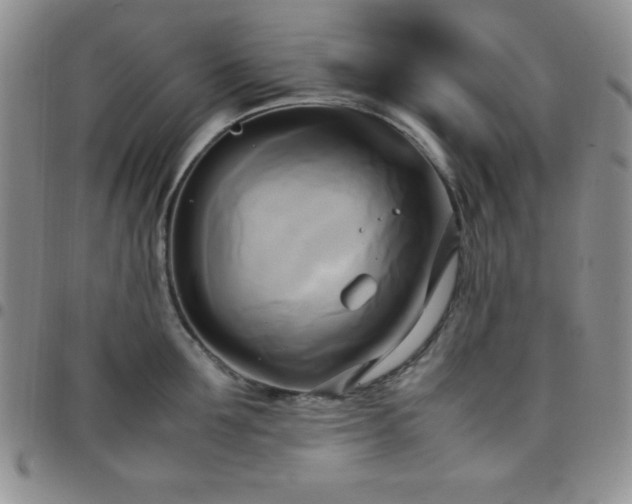 X0000099230907200805011134