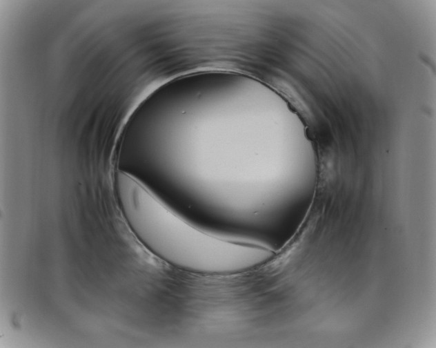 X0000099230908200805011134