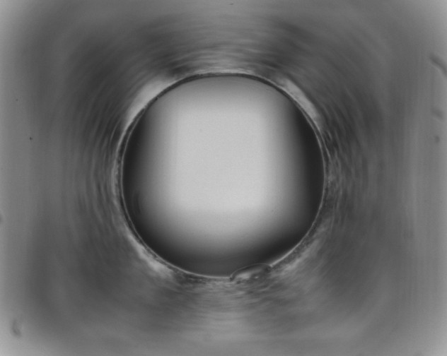 X0000099230909200805011134