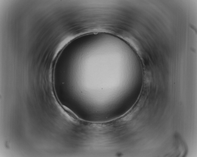 X0000099230910200805011134