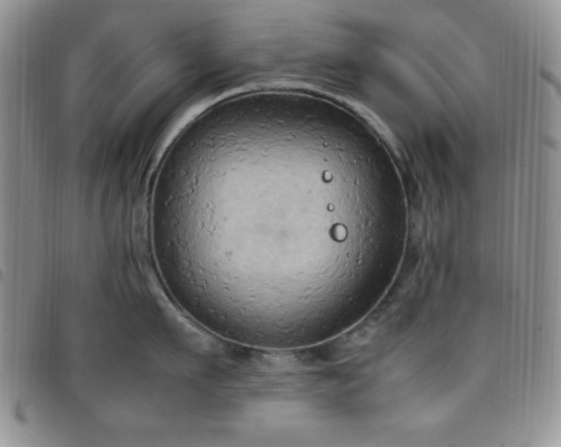 X0000099230911200805011134