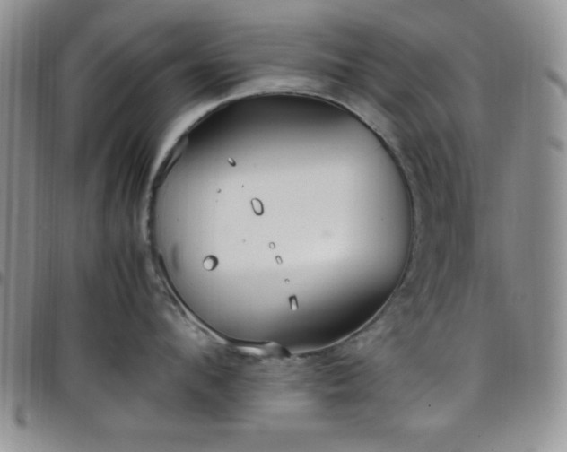 X0000099230912200805011134