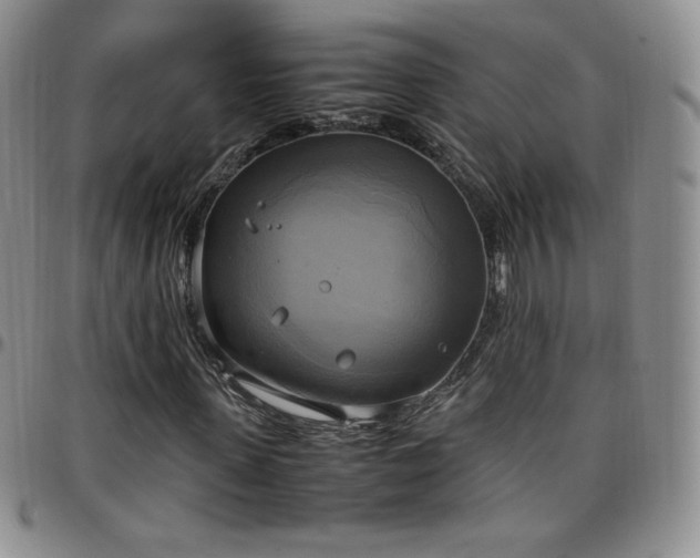 X0000099230915200805011133