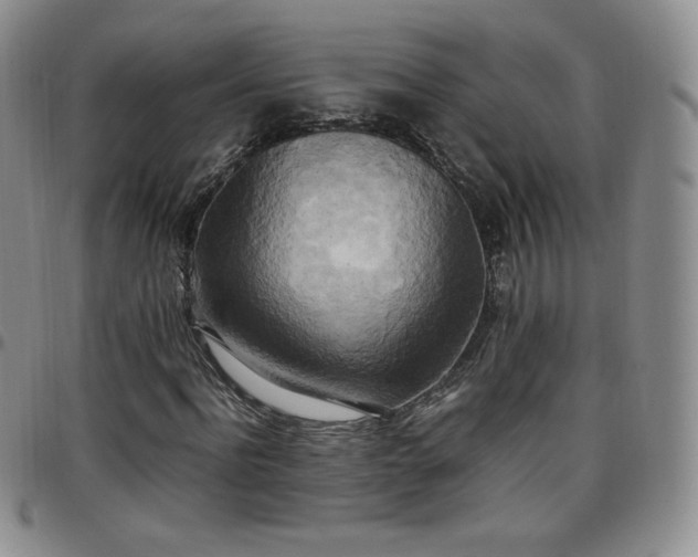 X0000099230916200805011133