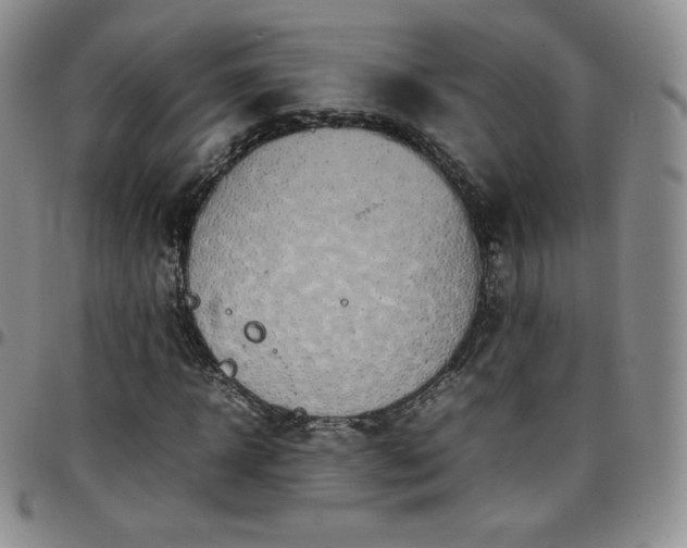 X0000099230918200805011133