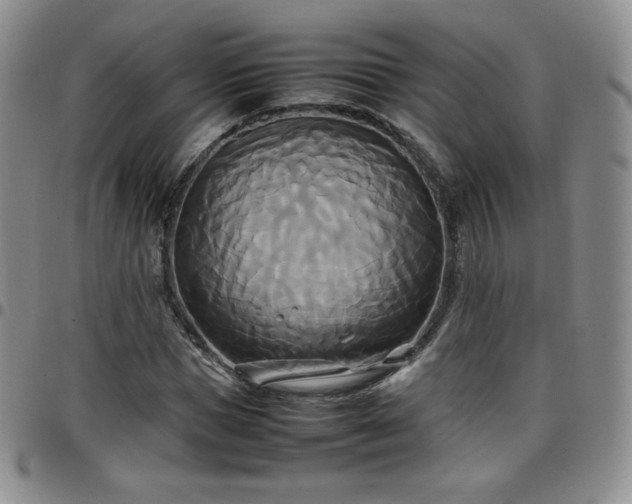 X0000099230921200805011133