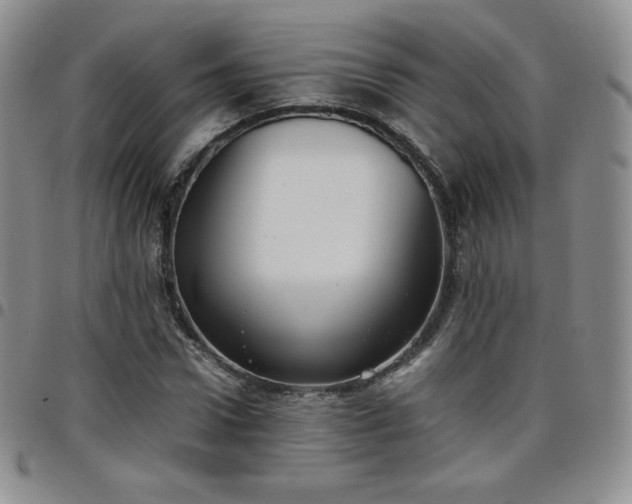 X0000099230922200805011133