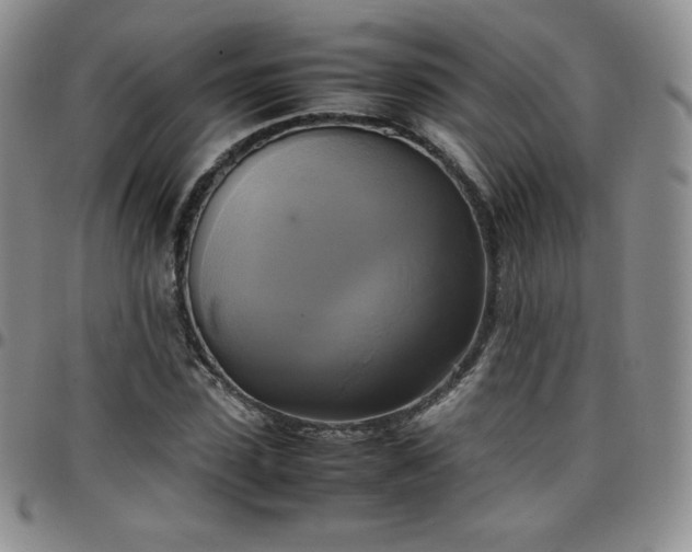 X0000099230923200805011133