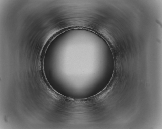 X0000099230924200805011133