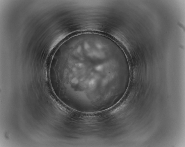 X0000099230925200805011133