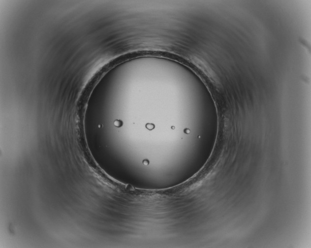 X0000099230926200805011133