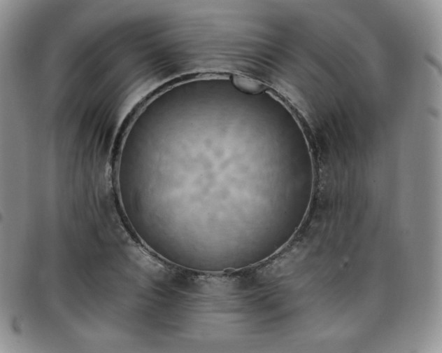 X0000099230928200805011133