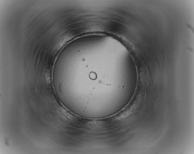 X0000099230929200805011133