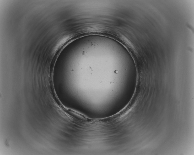 X0000099230930200805011133