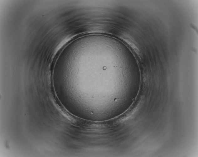 X0000099230933200805011133