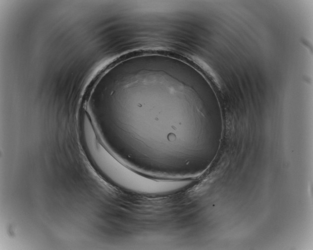 X0000099230935200805011133