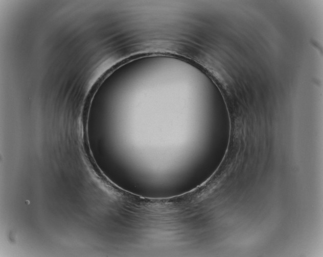 X0000099230936200805011134